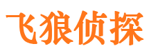 大关市婚姻出轨调查